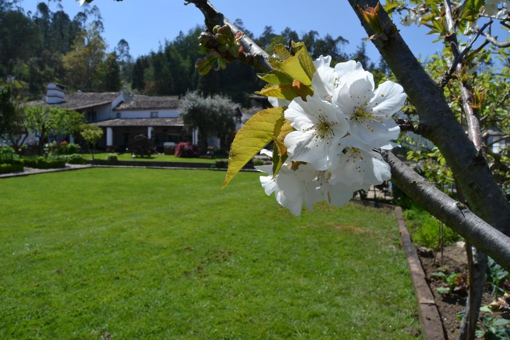 Quintal De Alem Do Ribeiro-Turismo Rural Lousã Exteriör bild