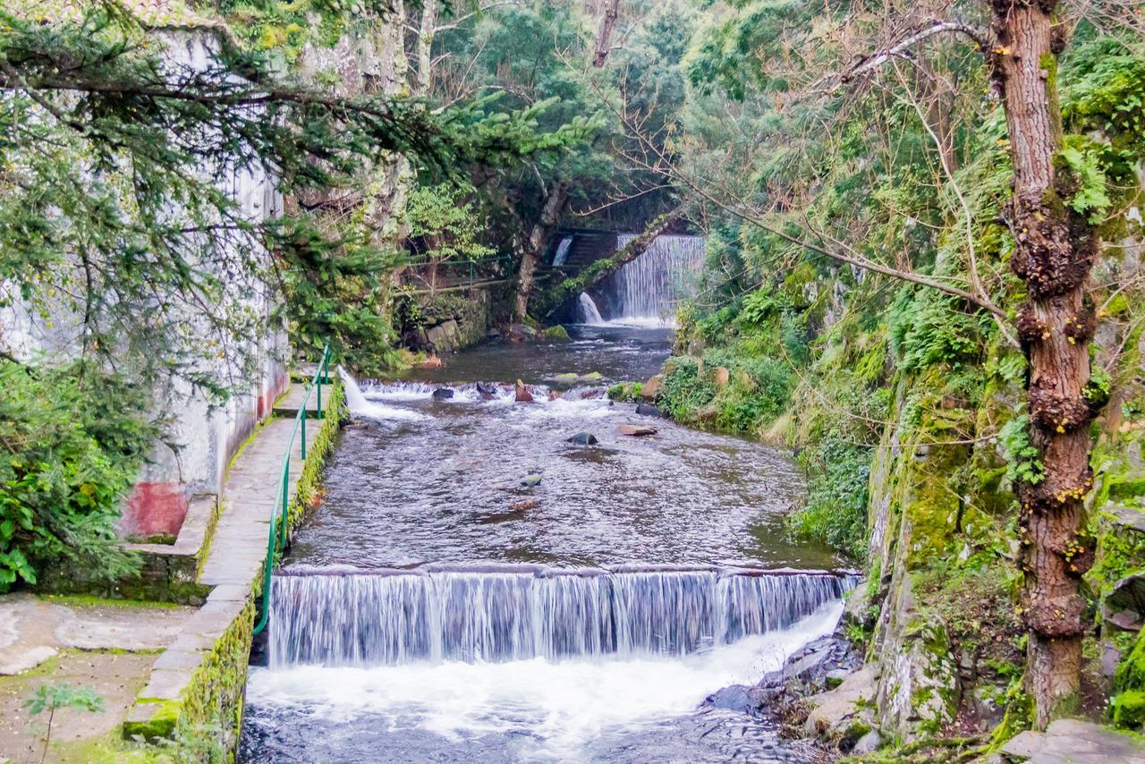 Quintal De Alem Do Ribeiro-Turismo Rural Lousã Exteriör bild