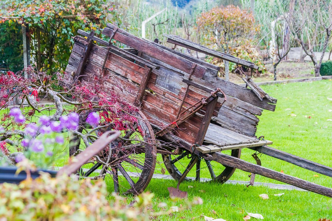 Quintal De Alem Do Ribeiro-Turismo Rural Lousã Exteriör bild