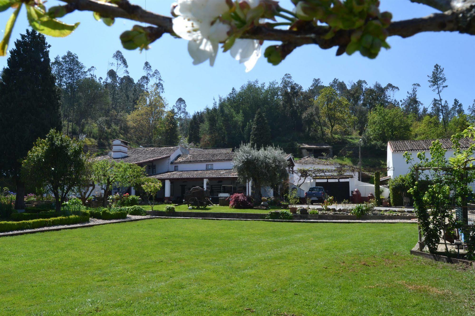 Quintal De Alem Do Ribeiro-Turismo Rural Lousã Exteriör bild